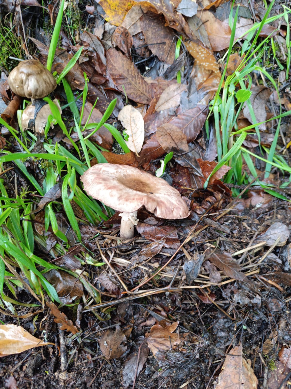 Caminho dos Mortos - Onde o silêncio tem voz Caminho dos Mortos - Onde o silêncio tem voz