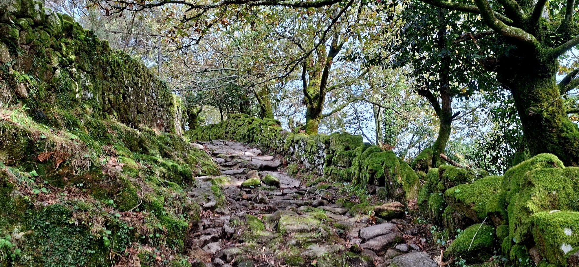Caminho dos Mortos - Onde o silêncio tem voz