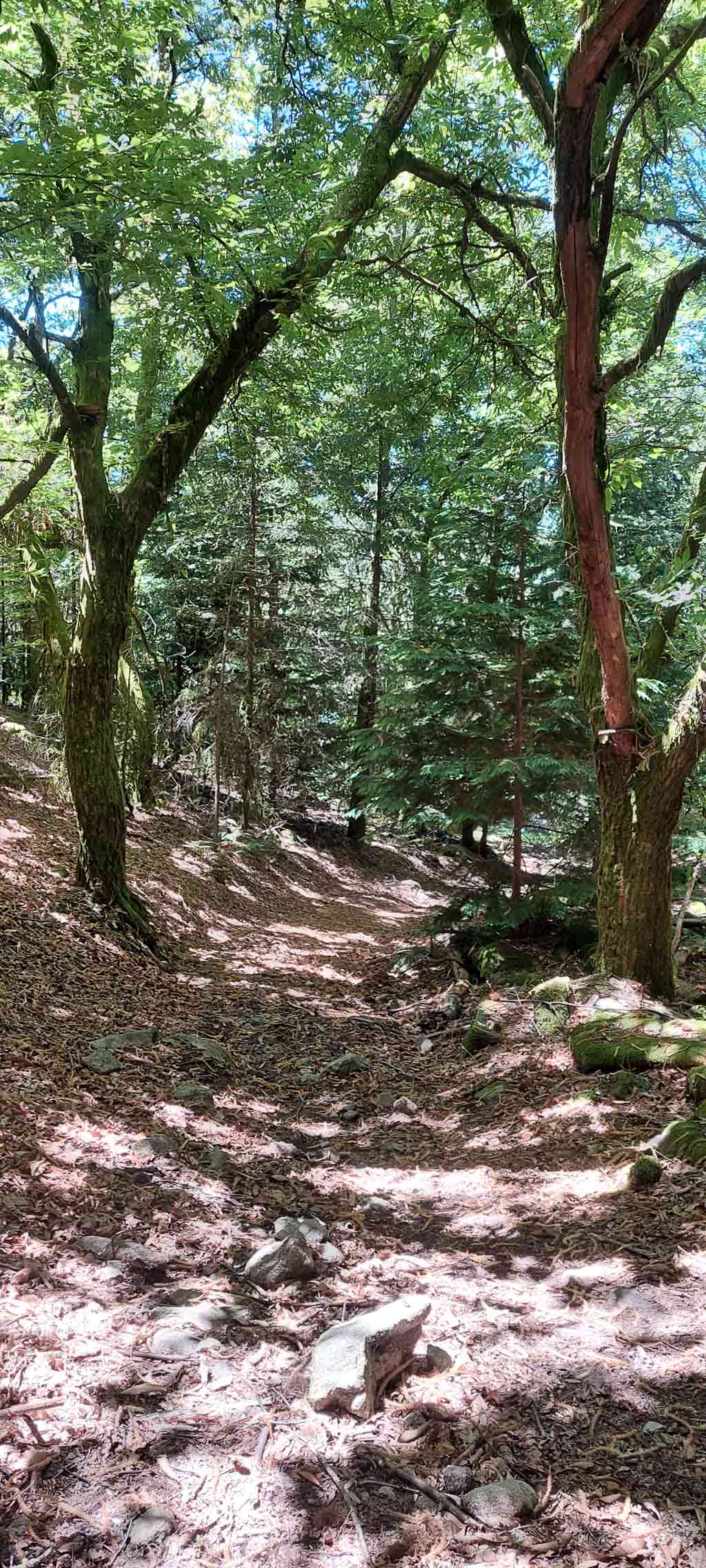 Baloiço da serradela