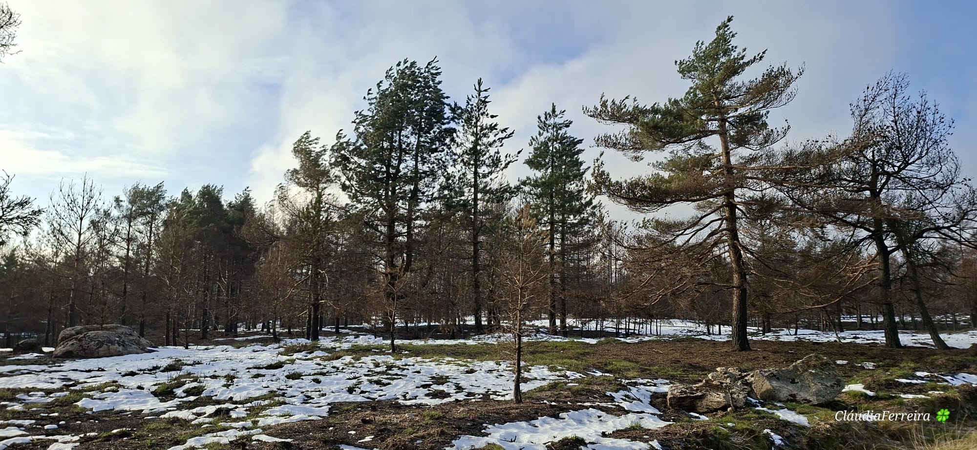 O abraço do planalto – caminhos altos do Alvão O abraço do planalto – caminhos altos do Alvão