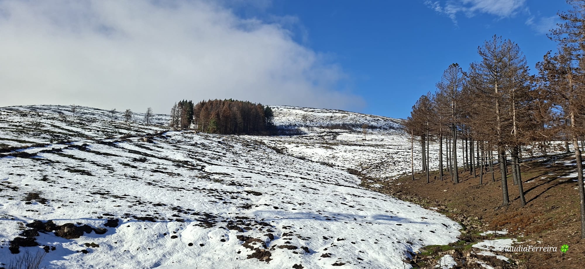 O abraço do planalto – caminhos altos do Alvão O abraço do planalto – caminhos altos do Alvão