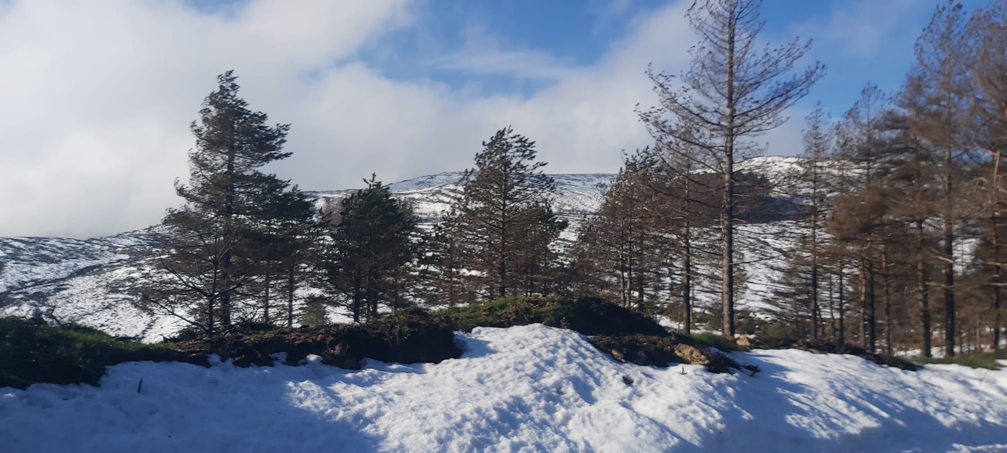 O abraço do planalto – caminhos altos do Alvão O abraço do planalto – caminhos altos do Alvão
