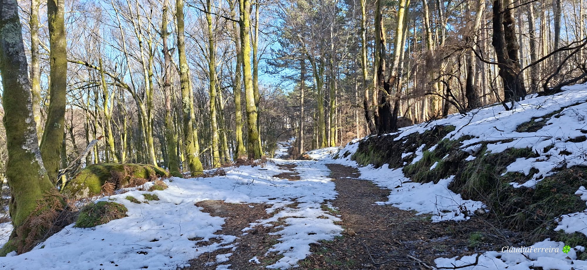 O abraço do planalto – caminhos altos do Alvão O abraço do planalto – caminhos altos do Alvão