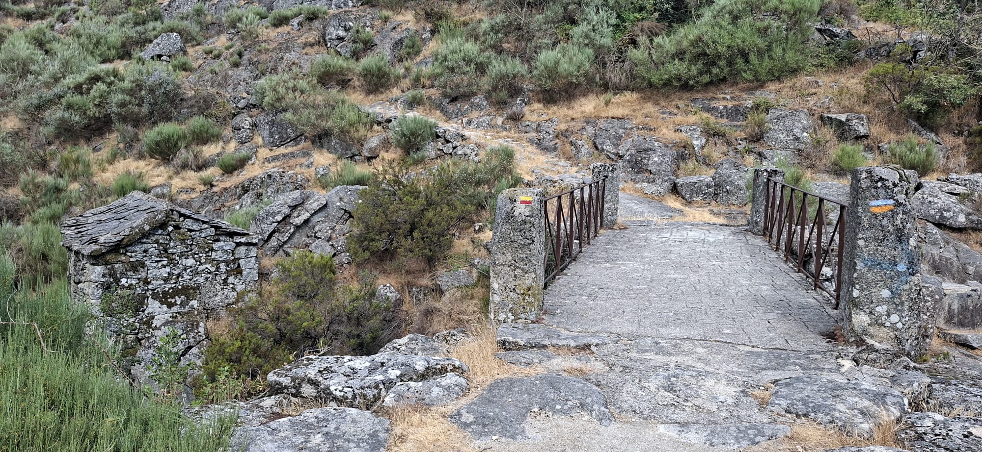 5 Aldeias do Alvão – onde o fogo passou e a vida renasce 5 Aldeias do Alvão – onde o fogo passou e a vida renasce