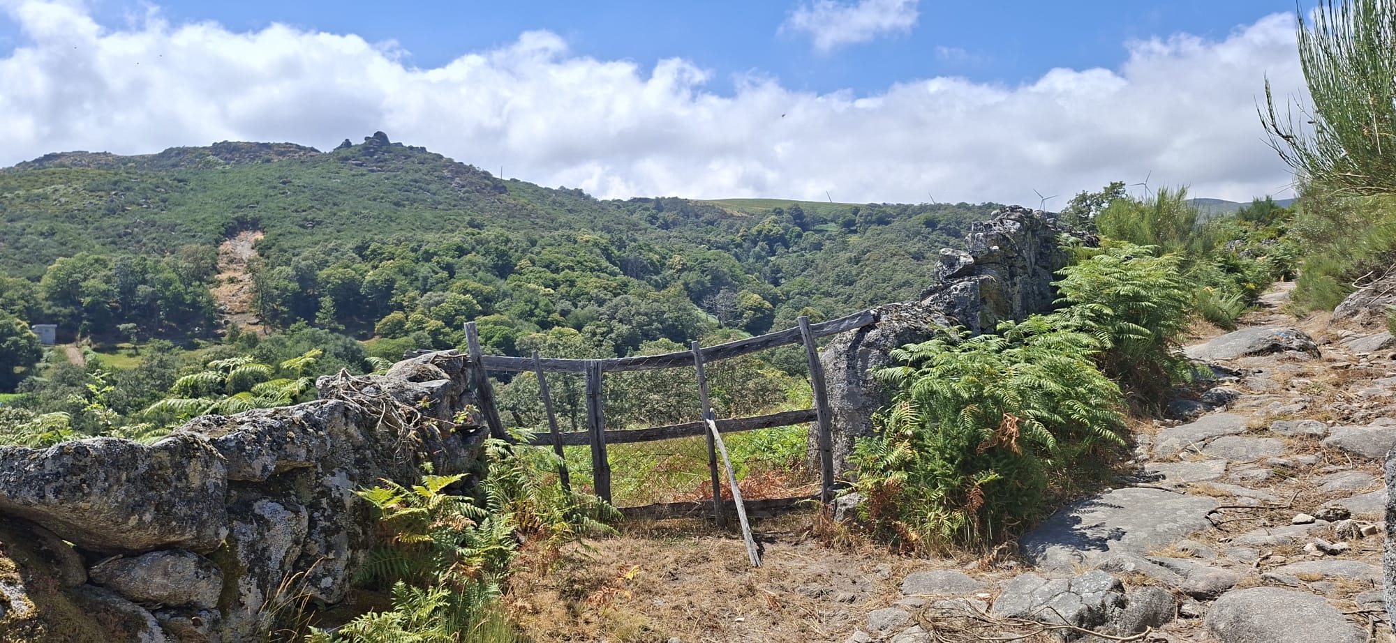 5 Aldeias do Alvão – onde o fogo passou e a vida renasce 5 Aldeias do Alvão – onde o fogo passou e a vida renasce
