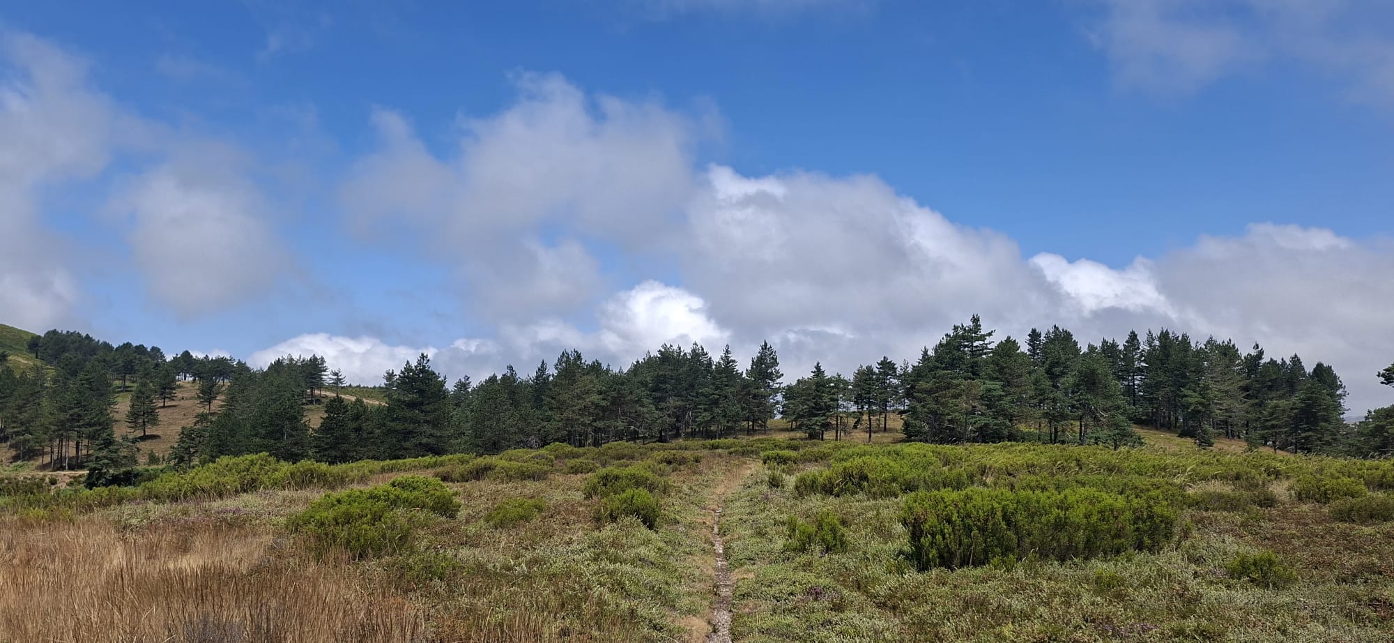 5 Aldeias do Alvão – onde o fogo passou e a vida renasce 5 Aldeias do Alvão – onde o fogo passou e a vida renasce