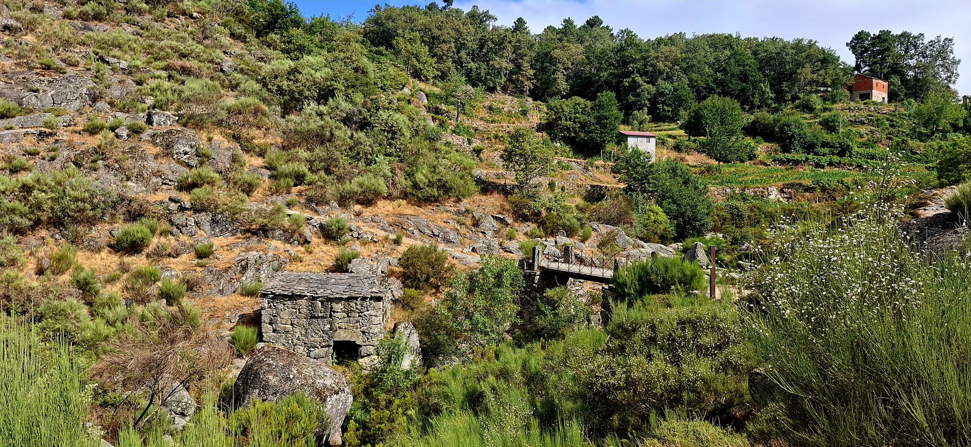 5 Aldeias do Alvão – onde o fogo passou e a vida renasce