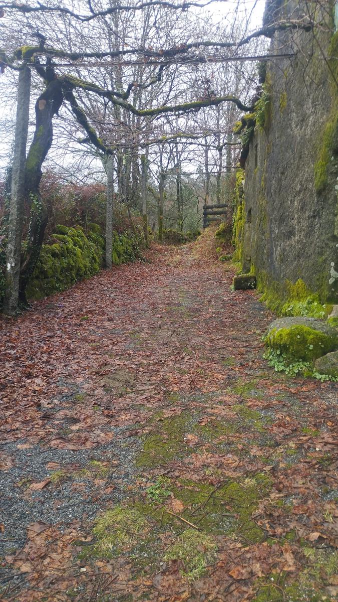 Trilho do Vale Suspenso do Rio Vade e Fojo do Lobo