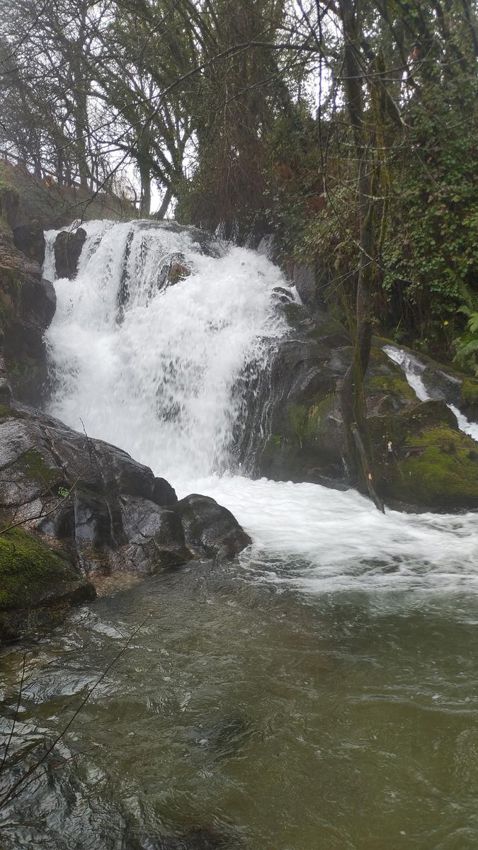 Trilho do Vale Suspenso do Rio Vade e Fojo do Lobo