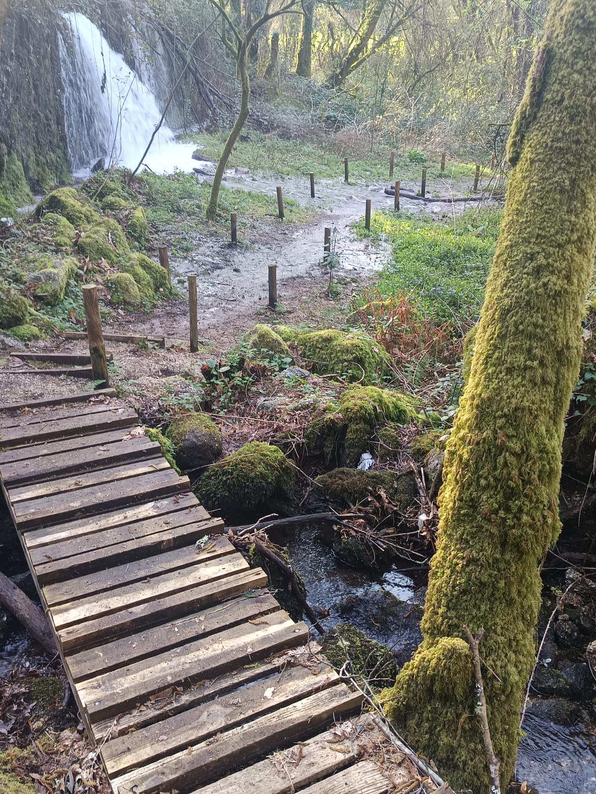 Queimadela, aldeia do Pontido e o corredor ecológico do rio Vizela