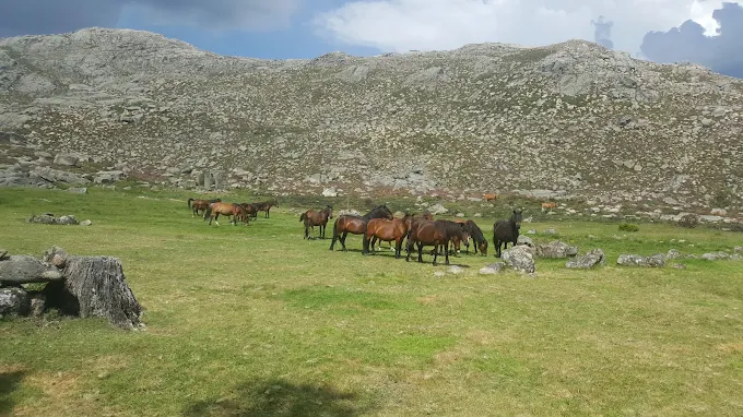 Prados da Messe, uma aventura no Gerês 
