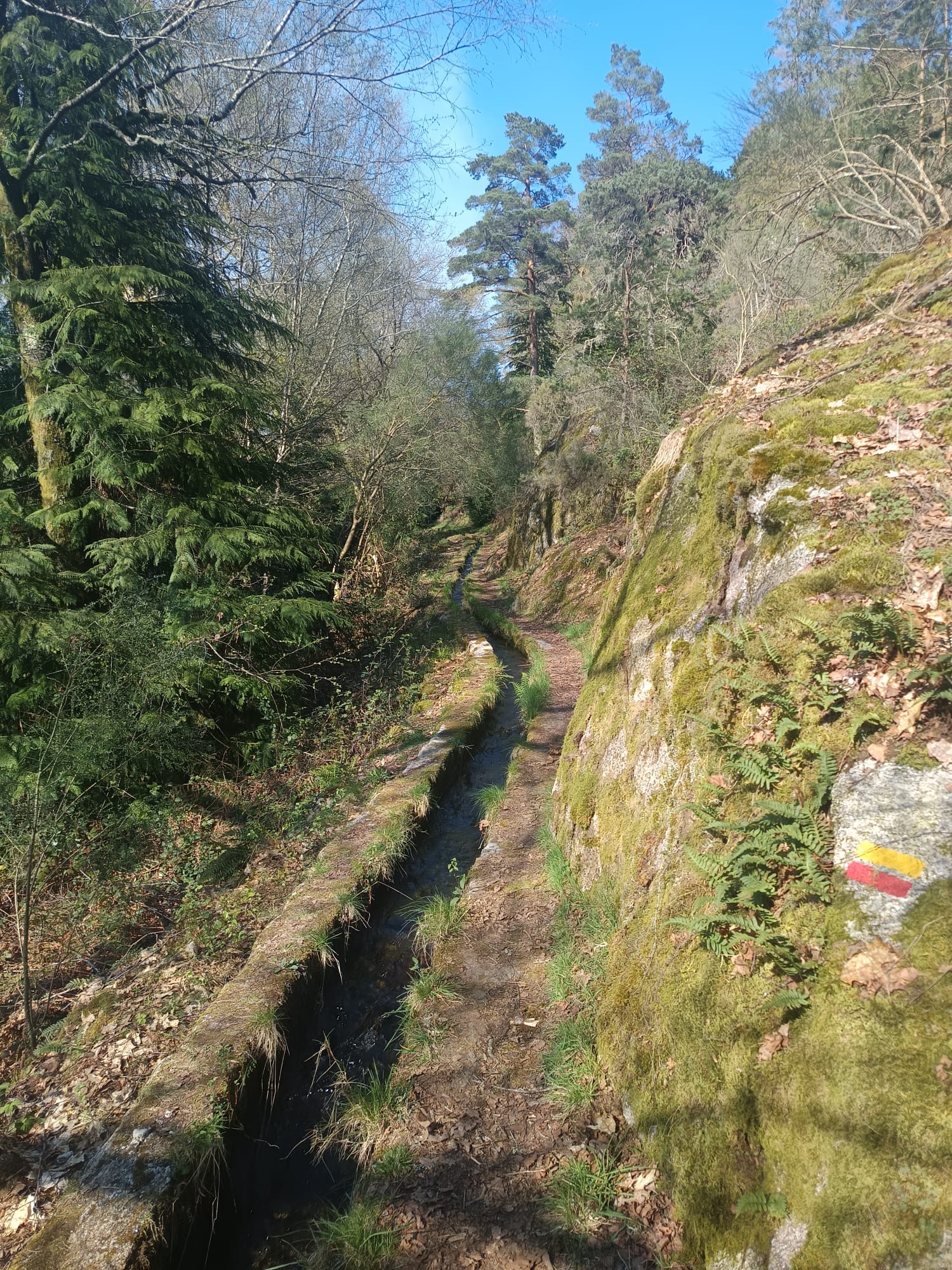 Levada de Víbora e Moinhos de Rei