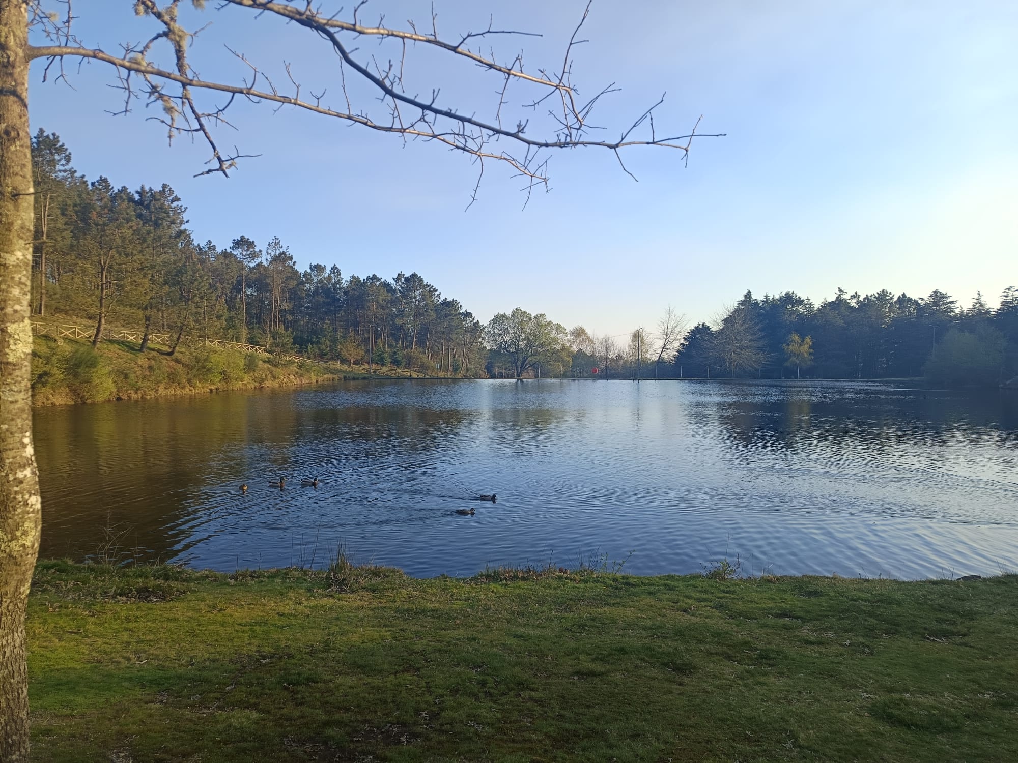 Levada de Víbora e Moinhos de Rei