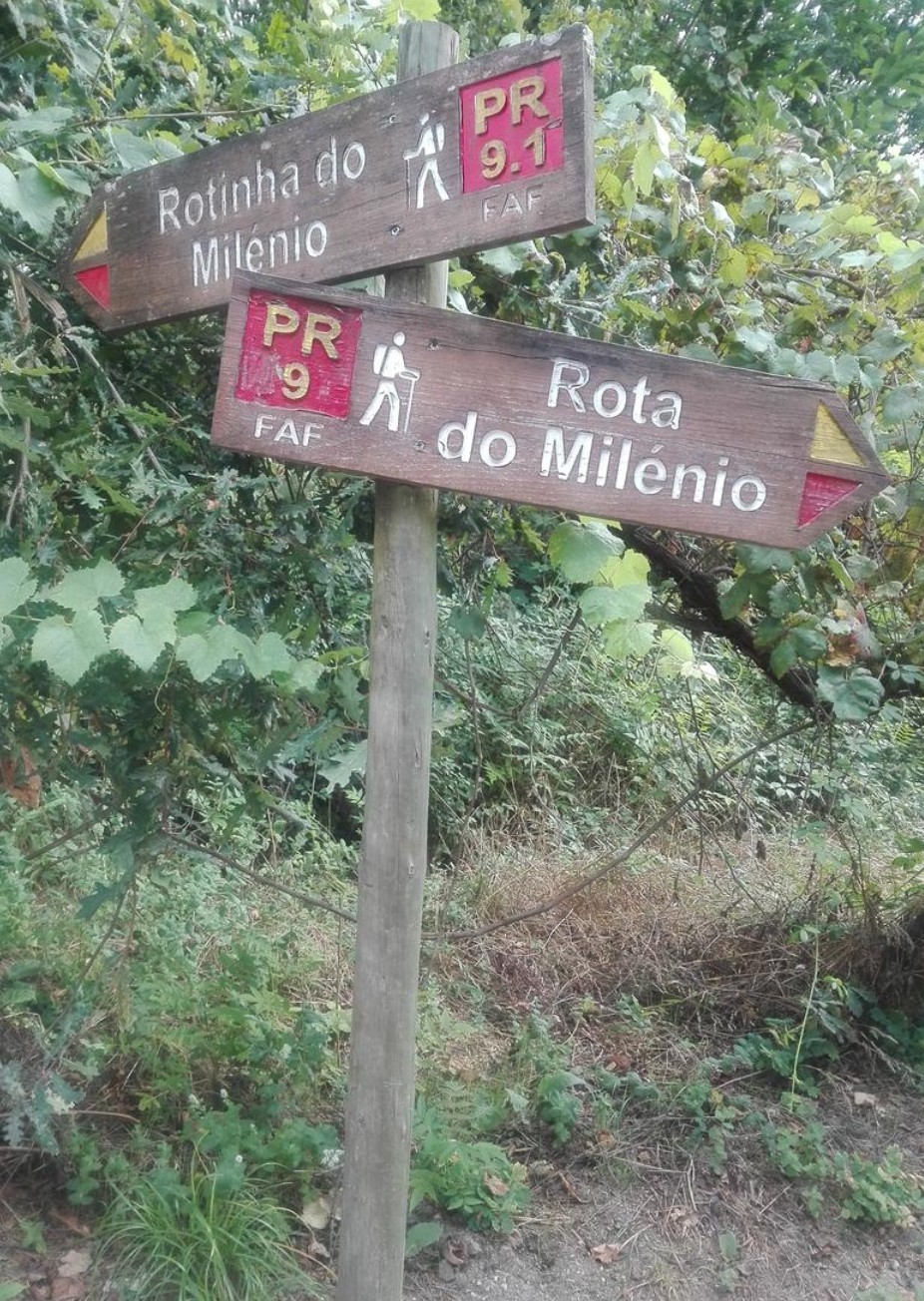 Rota do Milénio Rota do Milénio