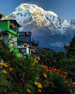 Annapurna | Best time to TRAVEL in Nepal 