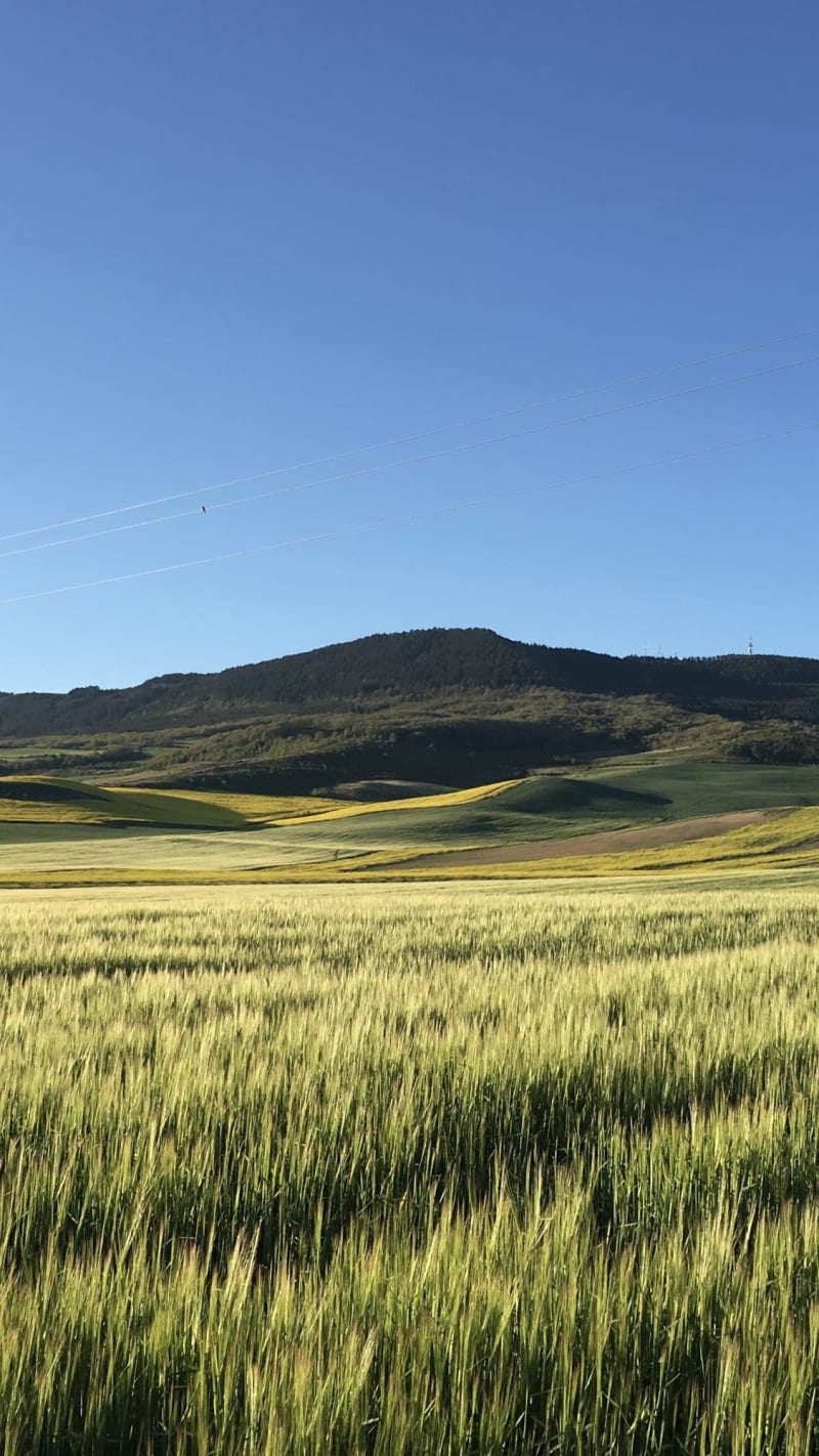 Lista attrezzatura per il Camino de Santiago in Spagna