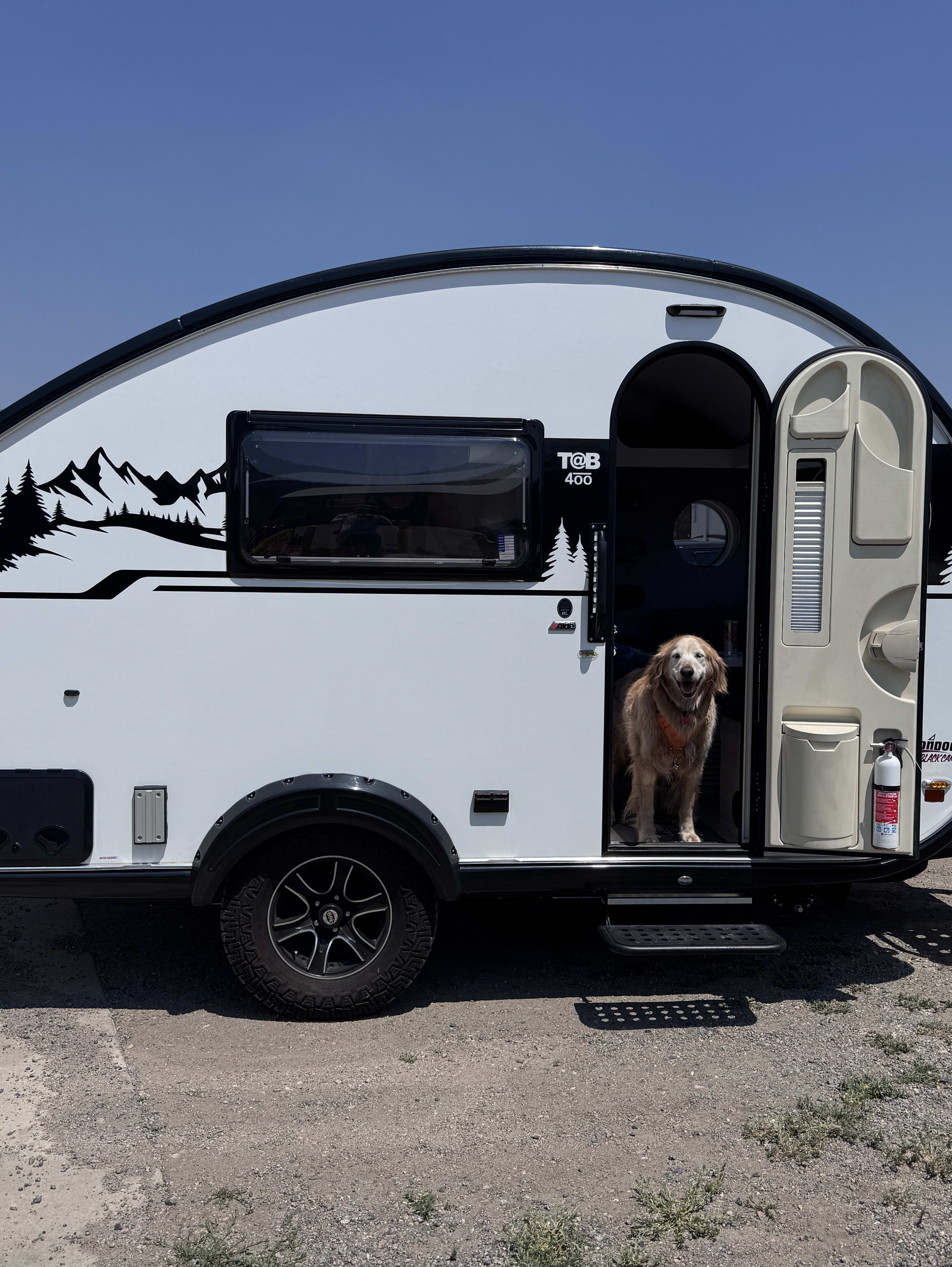 Milton the golden retriever standing in the doorway of the NuCamp teardrop camper