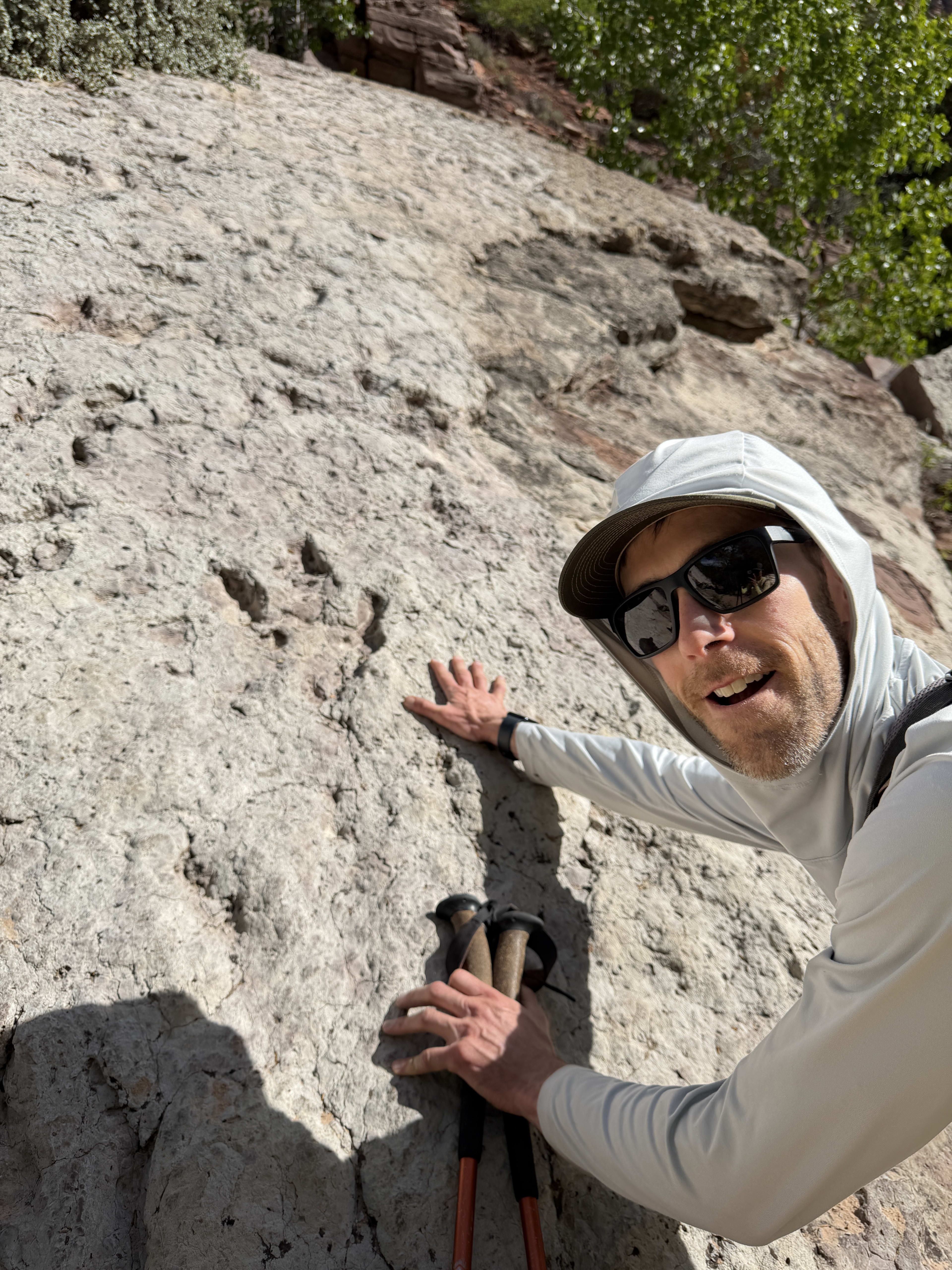 Dinosaur fossils on display in Zion National Park
