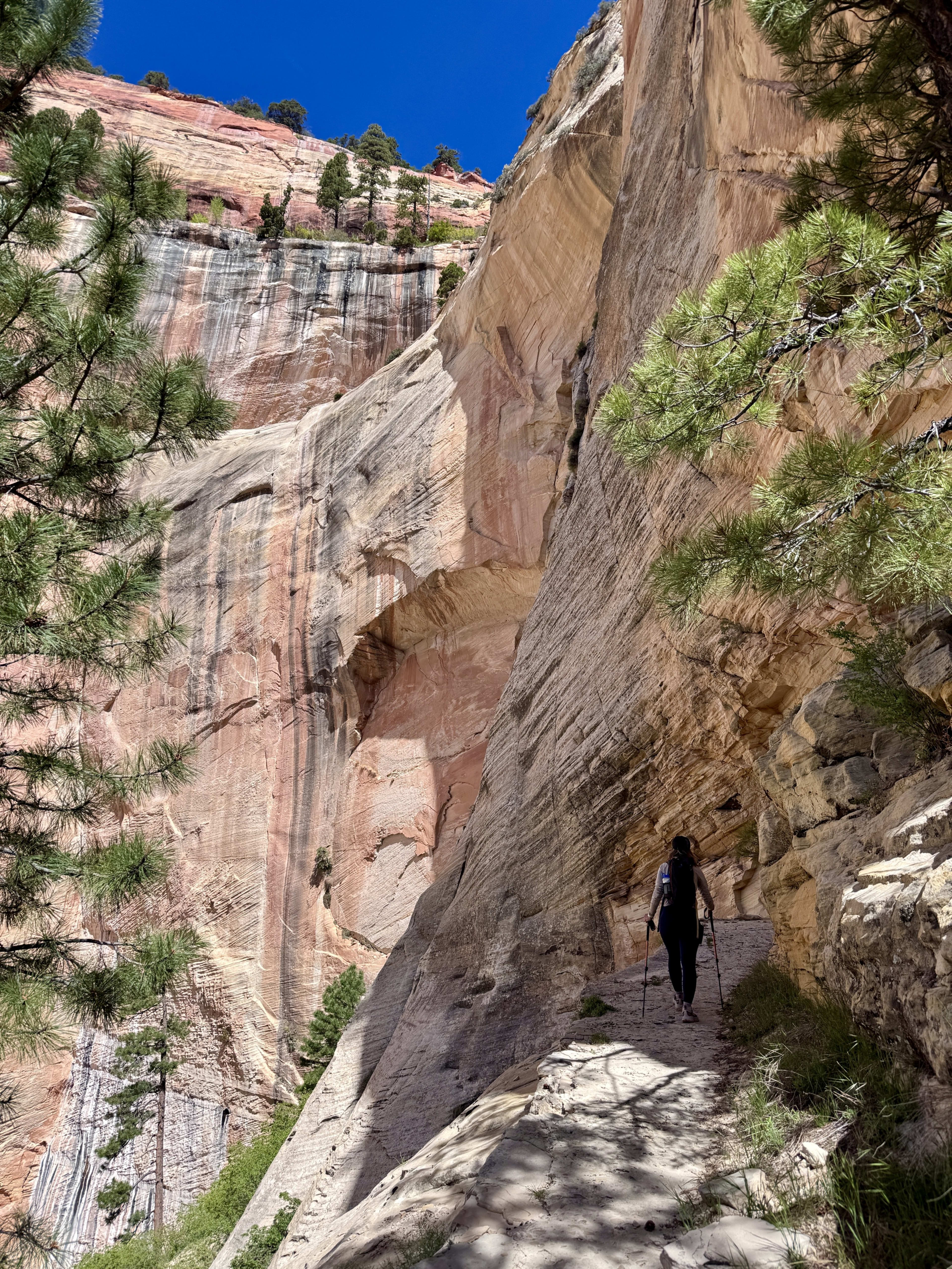 Looking up at a giant sandstone wall, hiker for scale