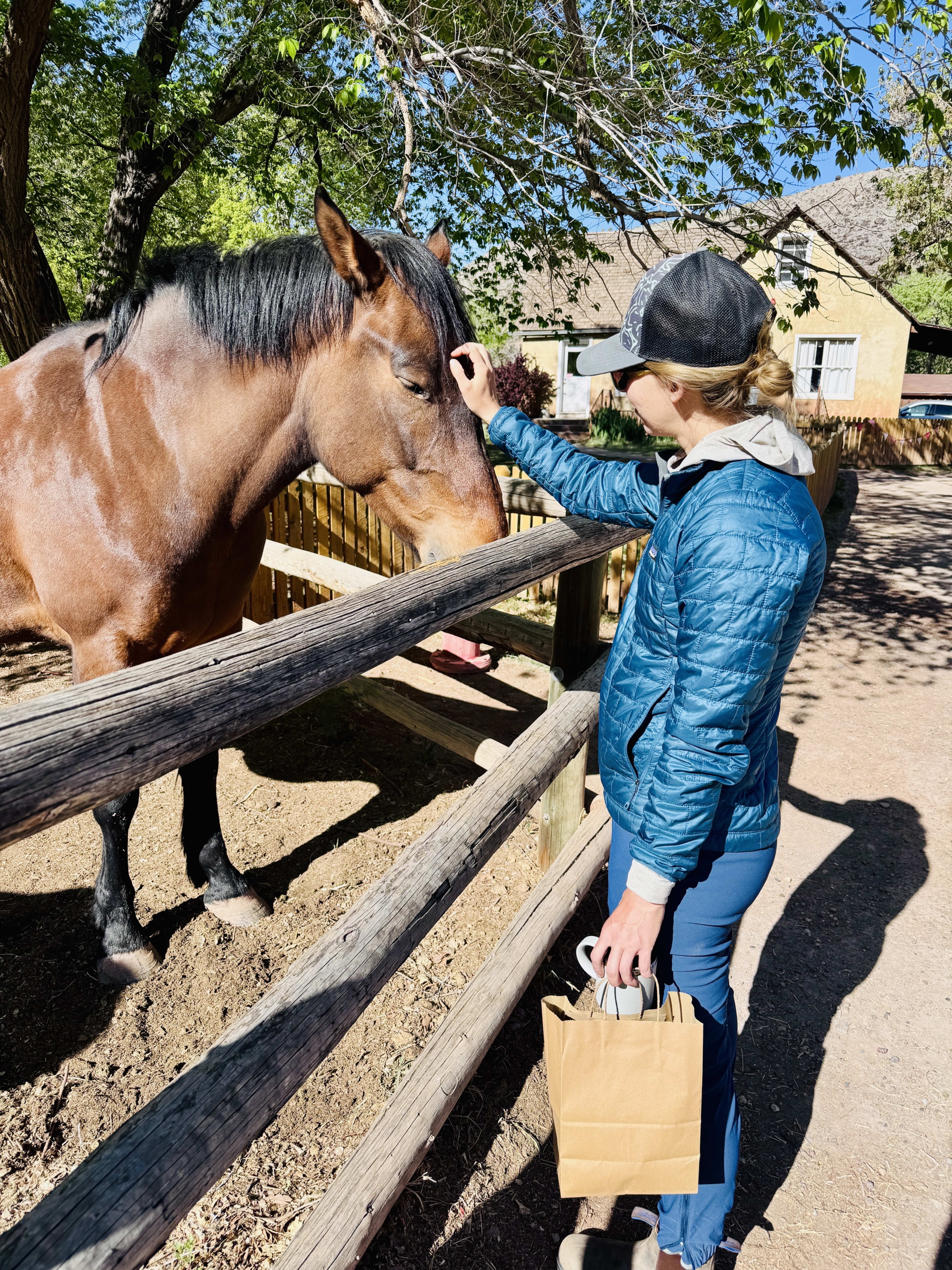 Bricelyn meeting a horse in the Fruita orchards