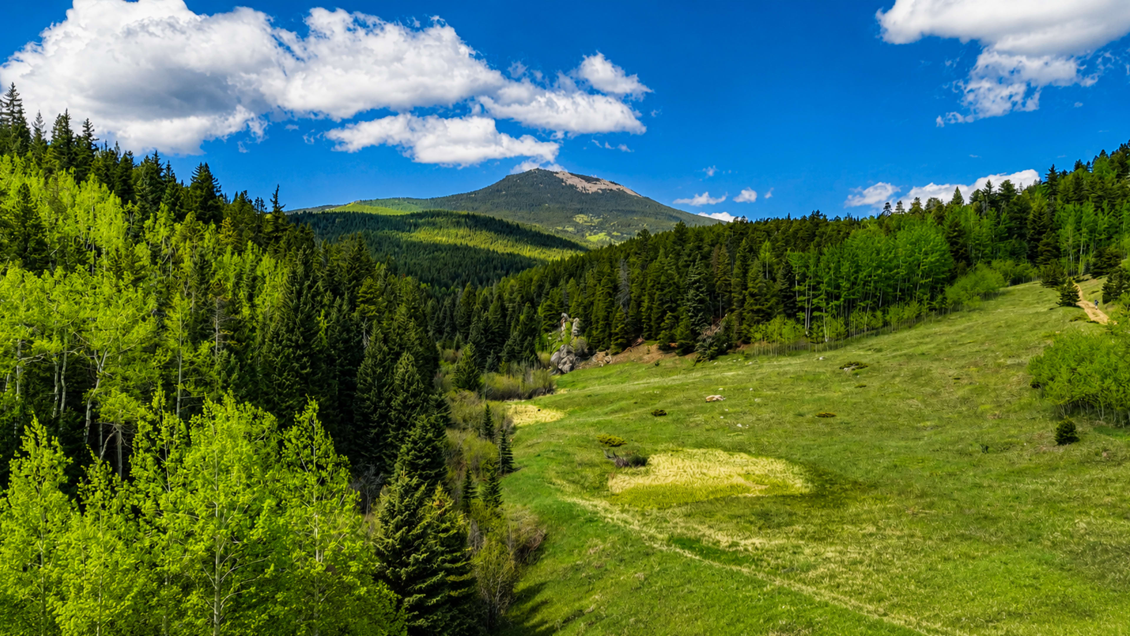 Aerial drone view over the forested hills around Evergreen, Colorado