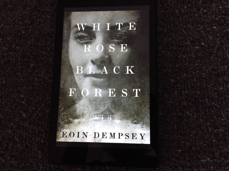 White Rose, Black Forest by Eoin Dempsey