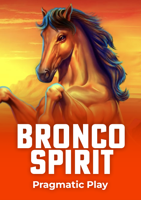 Bronco Spirit