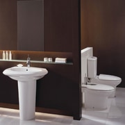 The vanity area of a bathroom - The bathroom, bathroom accessory, bathroom sink, bidet, ceramic, interior design, plumbing fixture, product design, sink, tap, toilet, toilet seat, black, gray