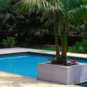 View of landscape design and poolside - View arecales, backyard, landscaping, leisure, outdoor structure, palm tree, plant, property, real estate, swimming pool, tree, water, water feature, green