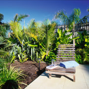 View of the outdoor living area - View arecales, backyard, botanical garden, estate, garden, grass, landscape, landscaping, majorelle blue, palm tree, plant, property, real estate, resort, tree, vegetation, yard, green