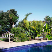 View of the pool area - View of arecales, backyard, estate, home, house, landscaping, leisure, outdoor structure, palm tree, plant, property, real estate, resort, swimming pool, tree, villa, water, teal