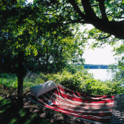 View of this outdoor area - View of flora, grass, hammock, leaf, leisure, nature, plant, reflection, sunlight, tree, water, black