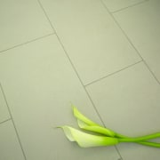 Close up of cream stone floor tiles, with floor, flooring, flower, green, leaf, line, plant, product design, tile, yellow, green