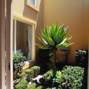 Close up view of the landscaping, trees, small agave, home, landscaping, plant, property, real estate, brown