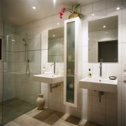 view of the bathroom showing separate fly basins bathroom, interior design, room, sink, brown, gray