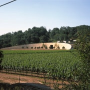 view of the winery and stone facade with agriculture, farm, field, plantation, rural area, sky, tree, vineyard, white, black