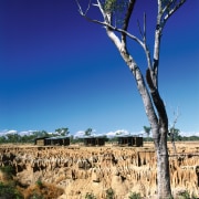 view of the seperate guest cabins  that ecoregion, ecosystem, field, landscape, plant community, rock, rural area, savanna, shrubland, sky, soil, tree, blue