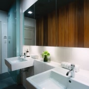A view of the bathroom, wooden walls, tiled architecture, bathroom, interior design, product design, room, sink, brown