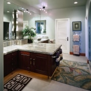 view of the bathroom featuring a serpentine design cabinetry, ceiling, countertop, floor, flooring, home, interior design, kitchen, room, gray