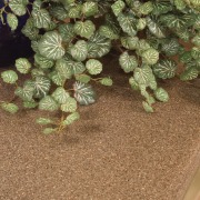 A close up view of the grey benchtop, flowerpot, grass, plant, tree, brown