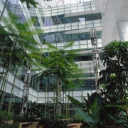 View of the interior features of the Singapore architecture, arecales, building, condominium, greenhouse, mixed use, plant, tree, gray, black