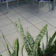 A view of some paving. - A view grass, leaf, plant, gray