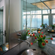 view of this basin in white bronze that architecture, glass, interior design, window, gray, black