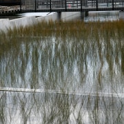 Waterway in park with bridge walkway. - Waterway bank, grass, grass family, reflection, river, tree, water, waterway, wetland, gray