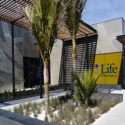 A view of aome landscaping by Mace Contractors. architecture, arecales, building, condominium, palm tree, real estate, water