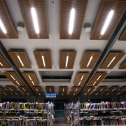 A view of the lighting in the Papamoa ceiling, daylighting, structure, gray, brown, black