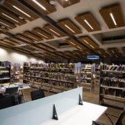 A view of some lighting in the Papamoa institution, library, library science, organization, public library, black, brown