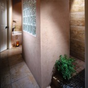 A view of the glass block wall. - architecture, daylighting, door, floor, flooring, glass, home, house, interior design, room, tile, wall, window, wood, gray, brown