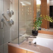 view of this bathroom featuring timber veneer cabinetry, bathroom, glass, interior design, plumbing fixture, room, sink, tile, gray