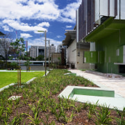 A view of some landscaping by Dig It architecture, building, city, condominium, daytime, estate, grass, home, house, landscape, plant, real estate, residential area, sky, tree, urban area, white, brown